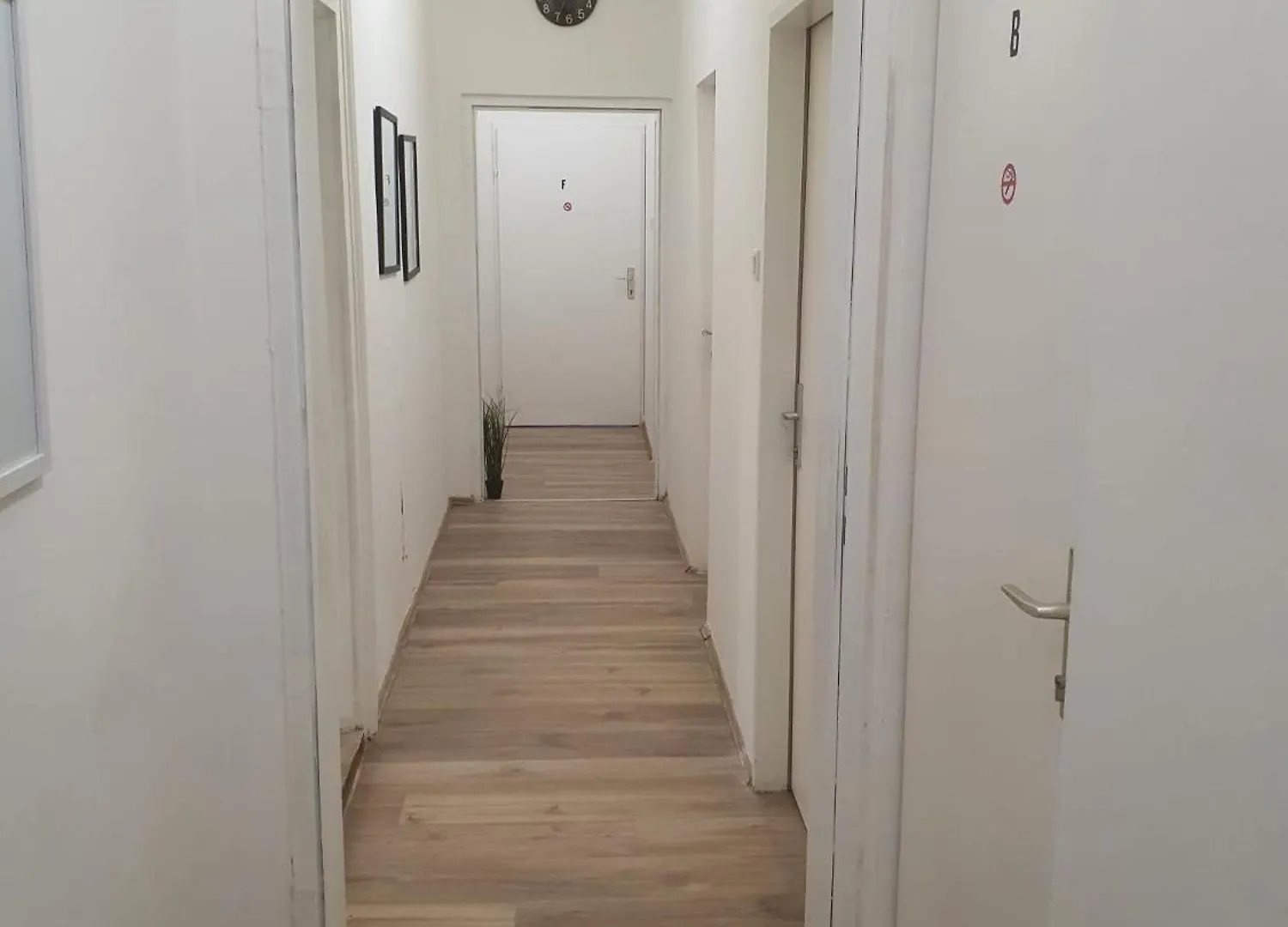 Massive 6Br Apt. Near Millenium City For Big Groups Vienna Apartment